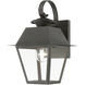 Wentworth 1 Light 13 inch Charcoal Outdoor Small Wall Lantern