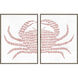 Spotted Crab / Spotted Lobster 16 X 12 inch Non-Glass Framed Art, Propac