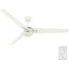 Cassius 60 inch Fresh White with Light Stripe/Fresh White Blades Outdoor Ceiling Fan