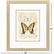 Nature's Wonder Yellow and Multi and Beige Framed Art, Propac