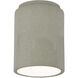 Radiance 1 Light 6.5 inch Celadon Green Crackle Outdoor Flush-Mount in Incandescent