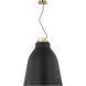 Sean Lavin Forge LED 26 inch Natural Brass Line-Voltage Pendant Ceiling Light in Nightshade Black