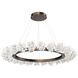 Blossom LED Flat Bronze Chandelier Ceiling Light, Ring