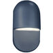 Ambiance Collection - Capsule LED 10 inch Midnight Sky Outdoor Wall Sconce, Form+Finish+Function