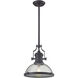Chadwick 1 Light 13 inch Oil Rubbed Bronze with Clear Pendant Ceiling Light