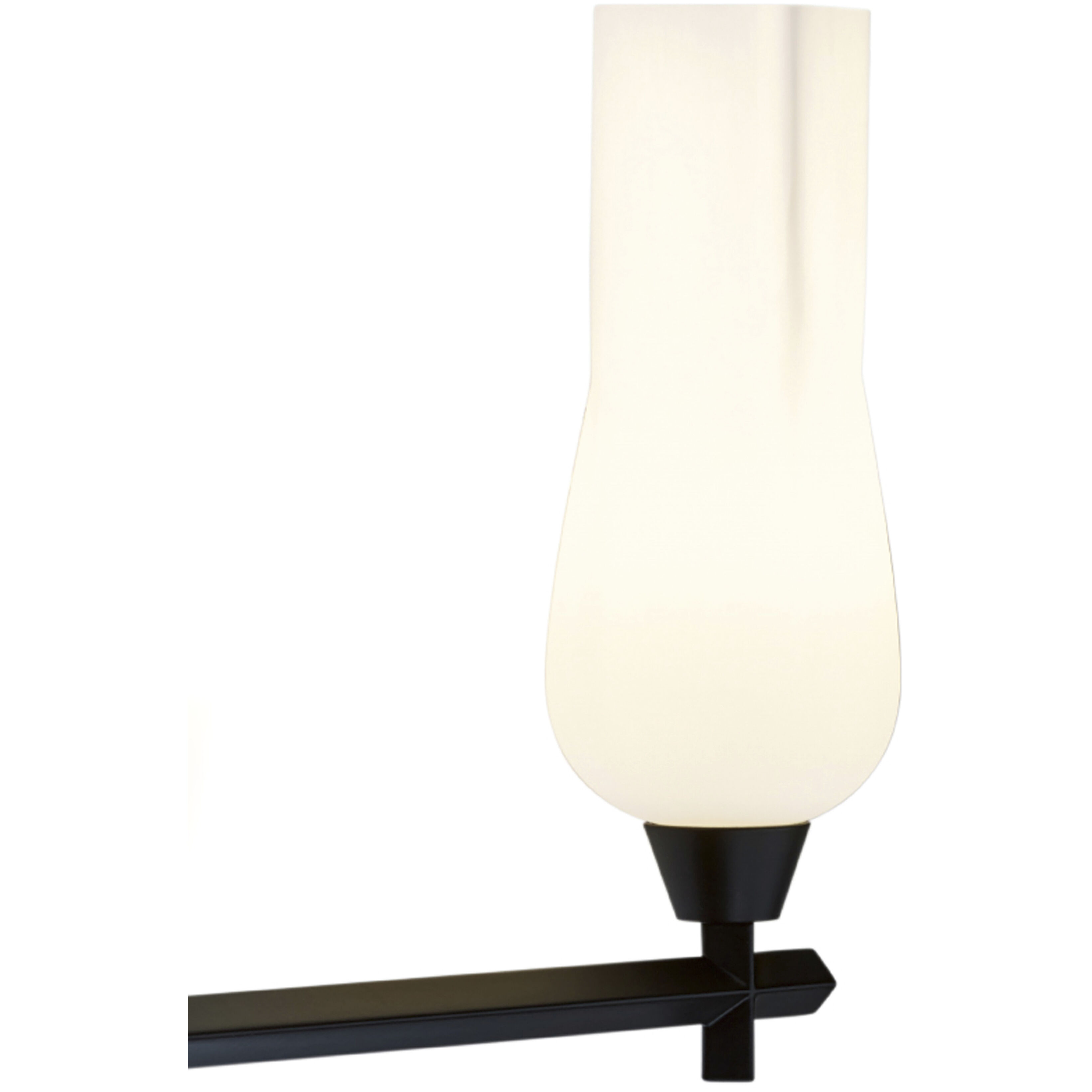 Fleur Vanity Light Wall Light in Matte Black