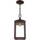 Nyack 1 Light 6.25 inch Bronze with Antique Brass Cluser Outdoor Pendant Lantern