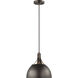 Rockland 1 Light 11.75 inch Bronze Pendant Ceiling Light in Burnt Sienna