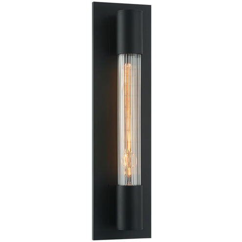 Riely Wall Sconce Wall Light in Matte Black