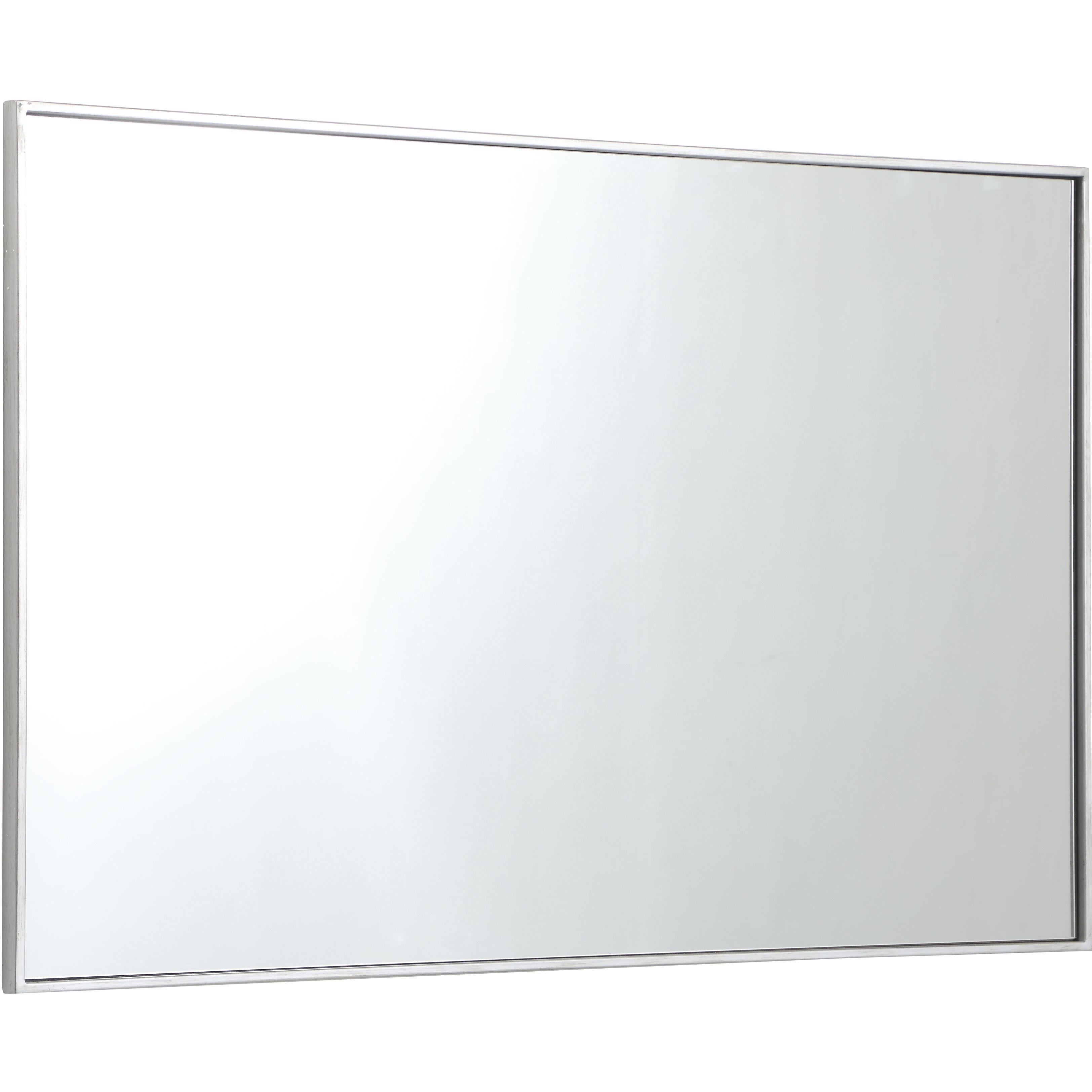 Monet 48 X 30 inch Silver Wall Mirror