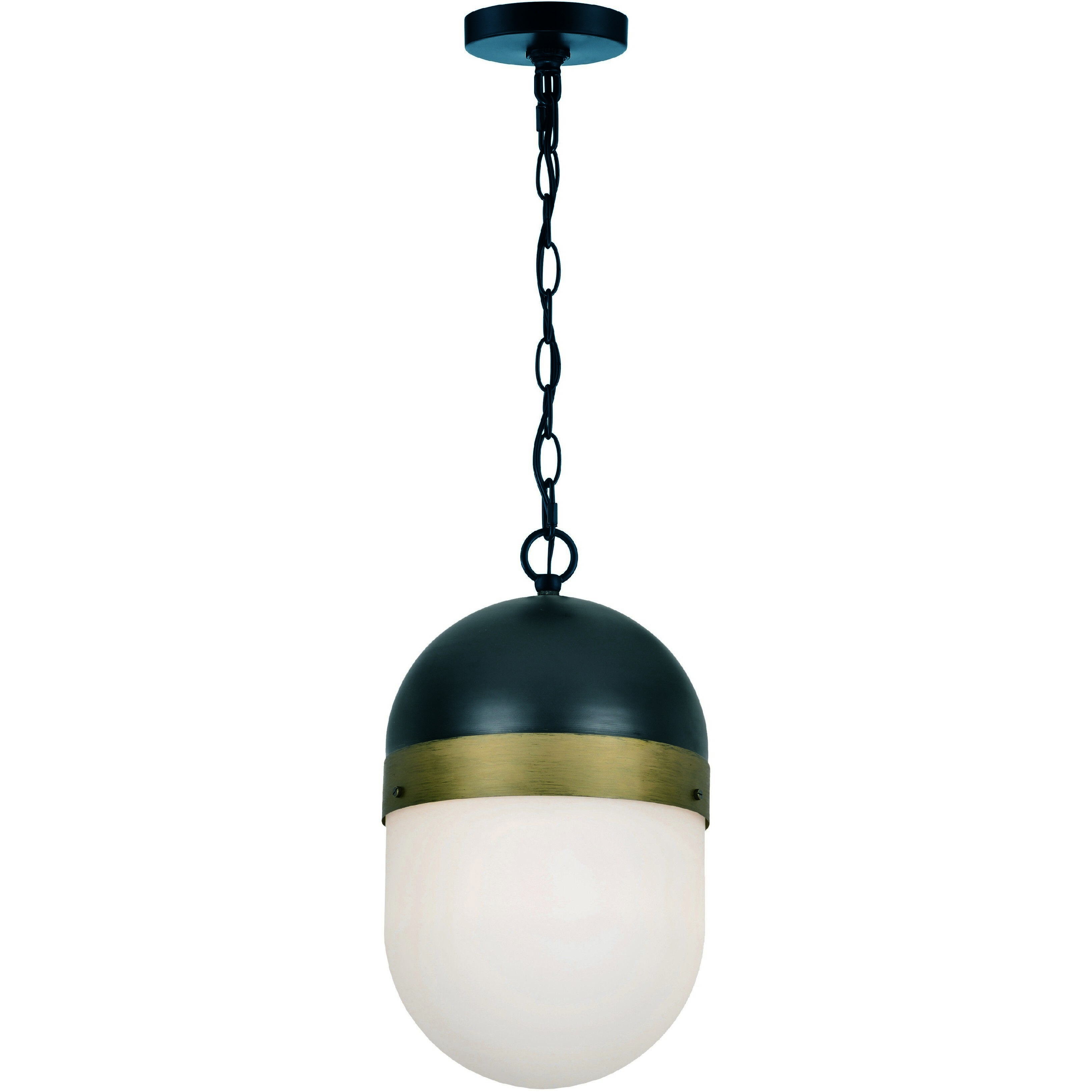 Capsule Outdoor Pendant