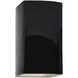 Ambiance 1 Light 13.5 inch Gloss Black Outdoor Wall Sconce in Incandescent, Gloss Black/Matte White