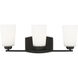 Franport 3 Light 21 inch Midnight Black Wall Bath Fixture Wall Light