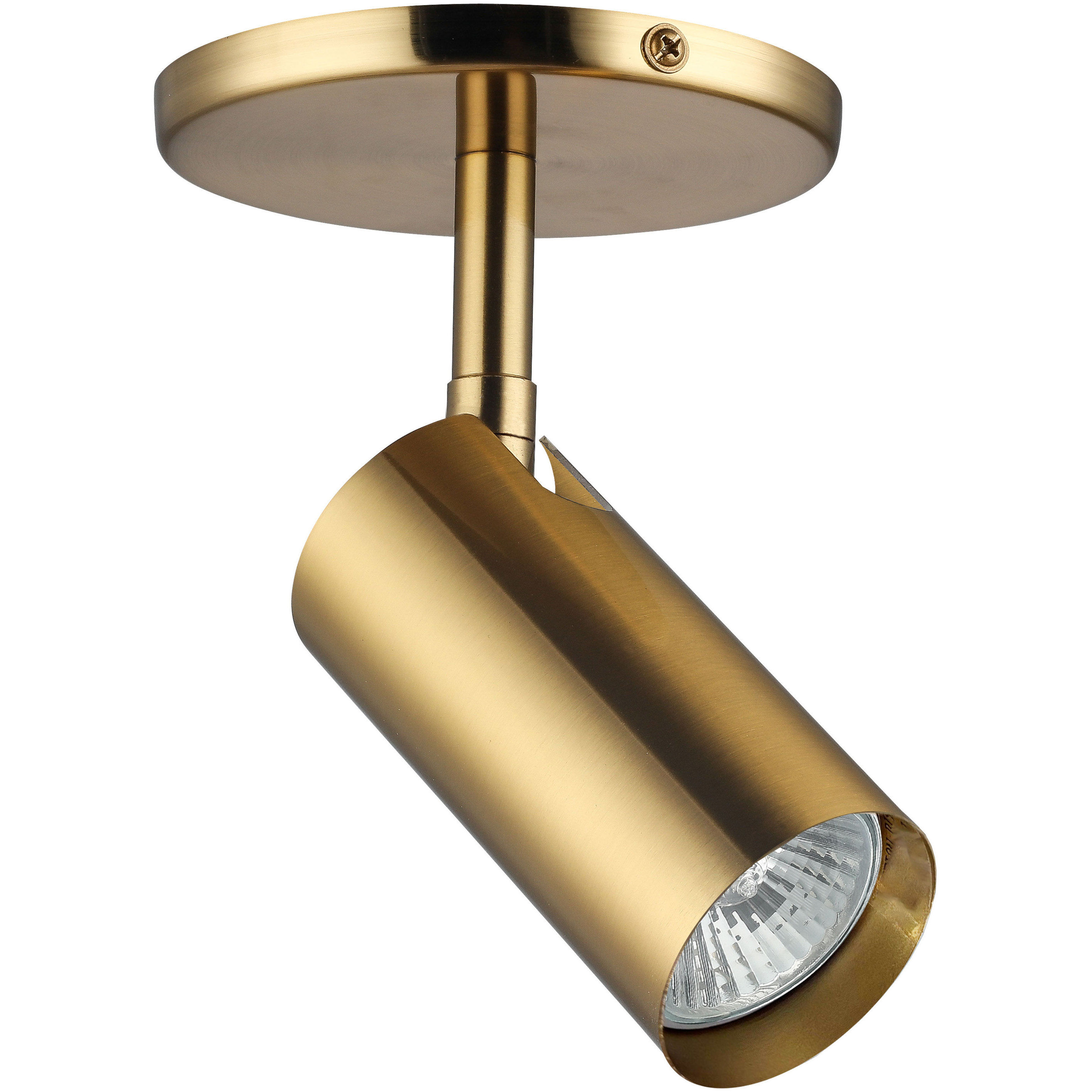 Stanly Aged Brass 50.00 watt 1 Light Spotlight