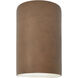 Ambiance 1 Light 5.75 inch Terra Cotta Wall Sconce Wall Light in Incandescent, Small