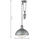 Farmhouse 1 Light 14 inch Aged Pewter Pendant Ceiling Light