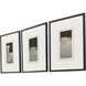 Reverie Black and Beige and Metallic Framed Art