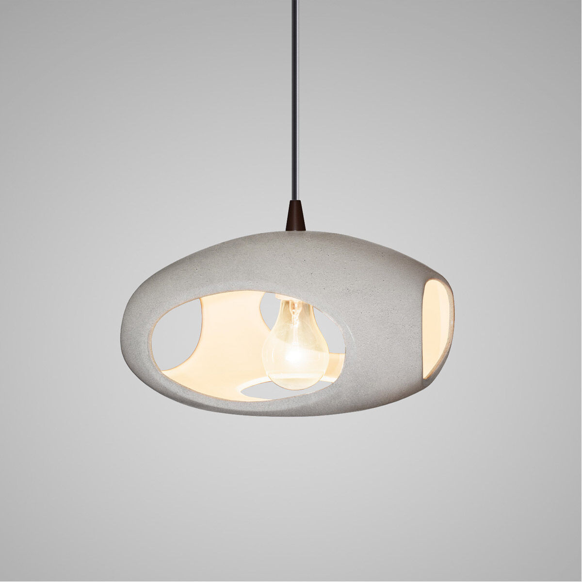 Radiance 1 Light 12 inch Pendant Ceiling Light
