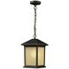 Holbrook 1 Light 10 inch Oil Rubbed Bronze Outdoor Chain Mount Ceiling Fixture in Tinted Seedy Glass