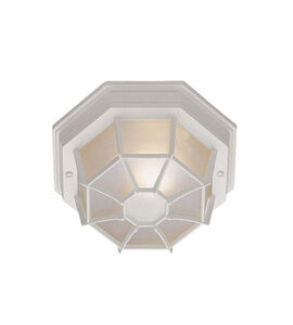 Benkert 1 Light 9 inch White Outdoor Flushmount Lantern