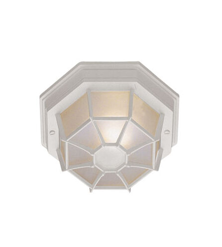 Benkert 1 Light 9 inch White Outdoor Flushmount Lantern