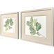 Fiddle Fig Leaf Green Framed Art