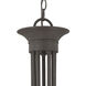 Tahoe 9 Light 30 inch Painted Bronze Chandelier Ceiling Light