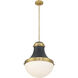 Purelight 1 Light 16.25 inch Legacy Brass and Dark Matte Black Pendant Ceiling Light