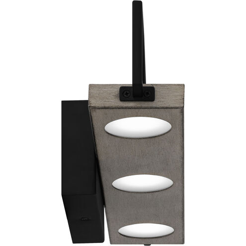 Winnett LED 24 inch Matte Black Bath Light Wall Light