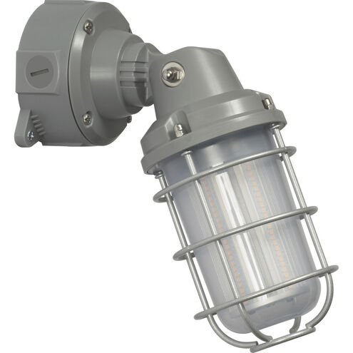 Brentwood LED 12 inch Gray Outdoor Wall Light