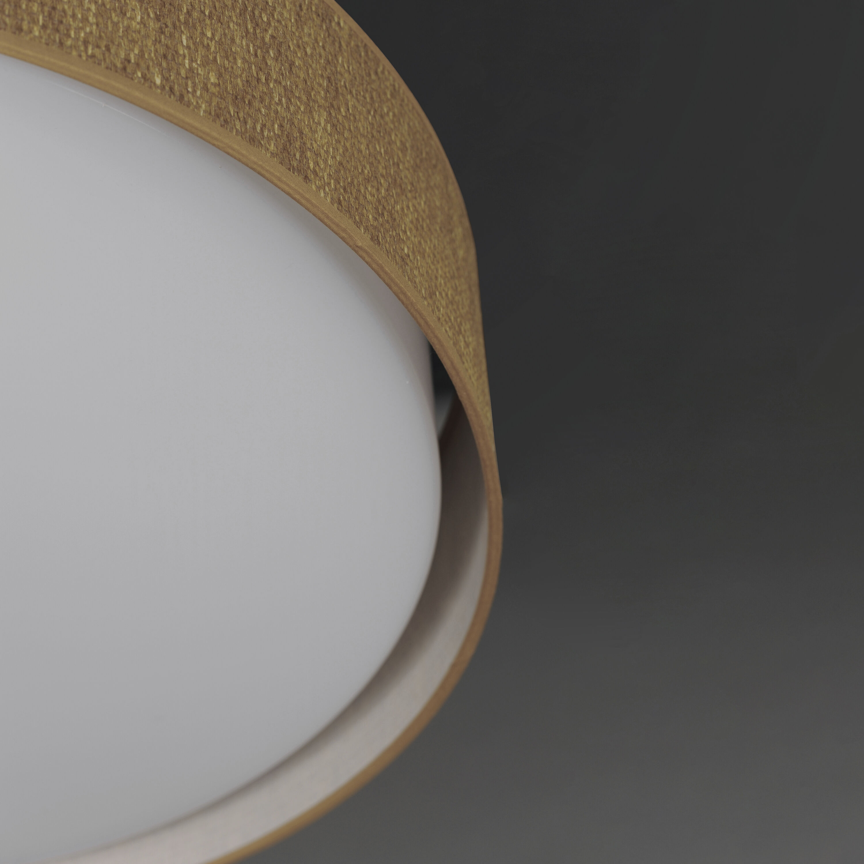 Prime LED 25 inch Flush Mount Ceiling Light