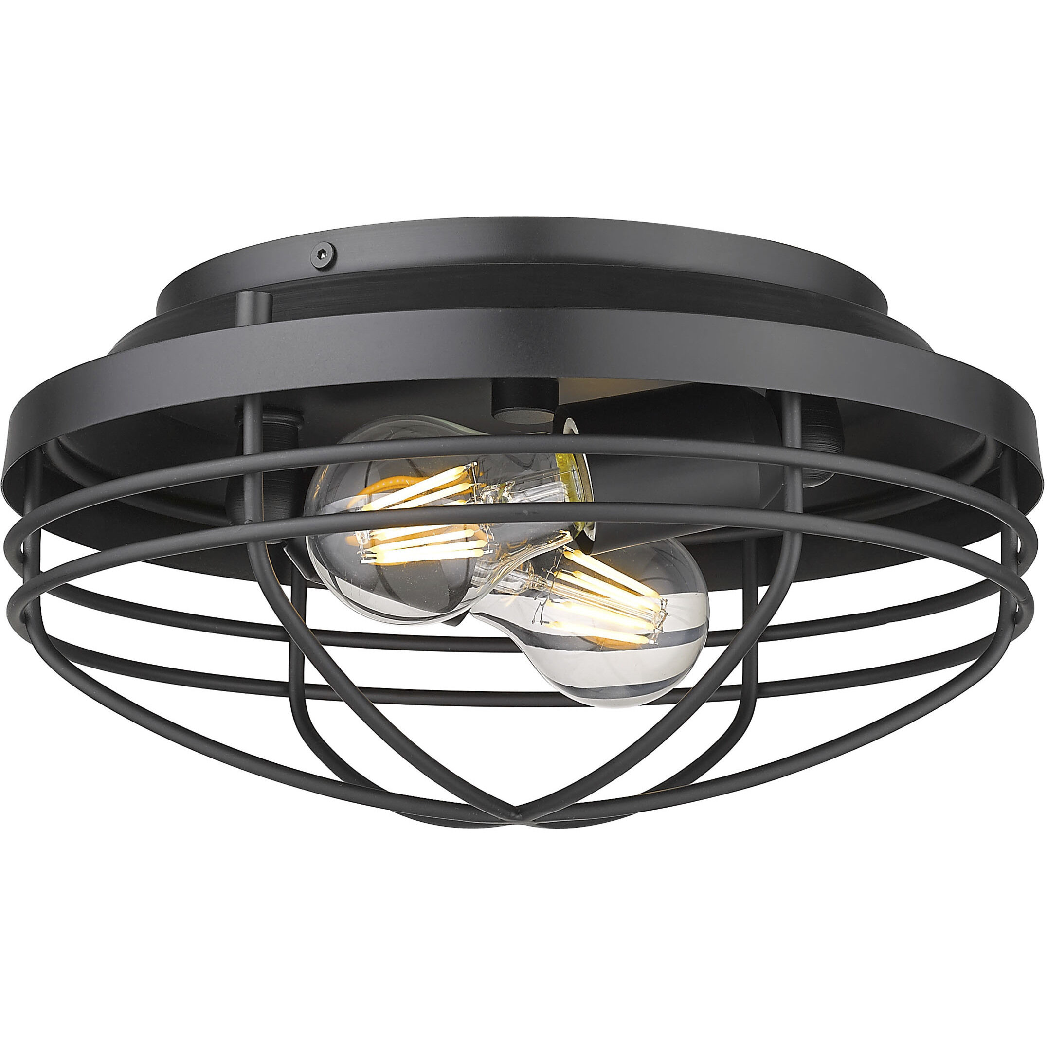 Seaport 2 Light 12 inch Matte Black Flush Mount Ceiling Light, Damp