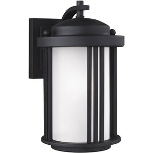 Crowell 1 Light 10 inch Black Outdoor Wall Lantern, Small