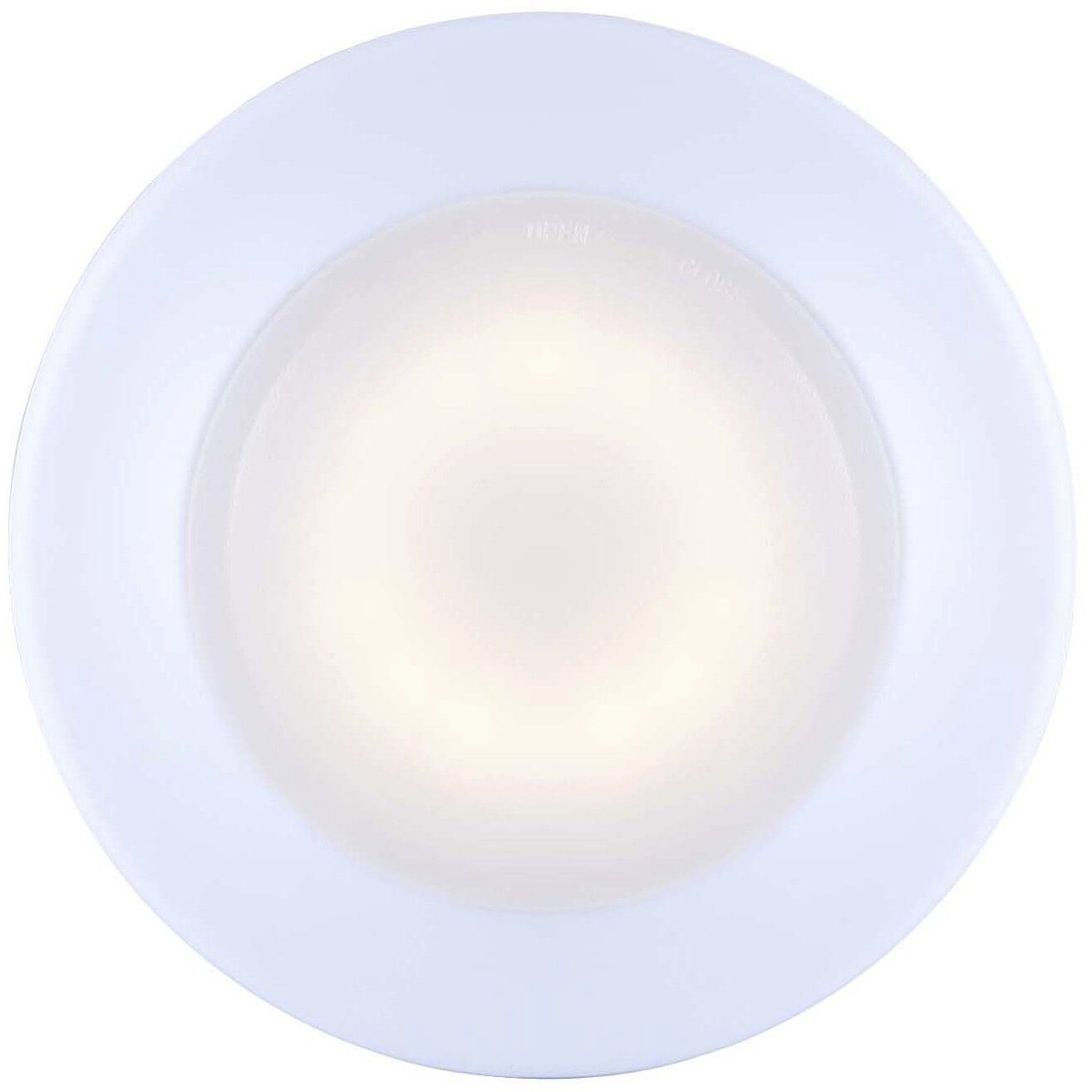 Madison LED 4 inch White Disk Light