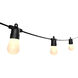 Orion 120V 12.00 watt Black Landscape, Smart String Light