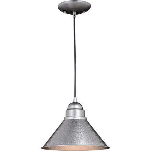 Outland LED 10 inch Brushed Pewter Outdoor Pendant
