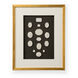 Chelsea House Intaglio Wall Art
