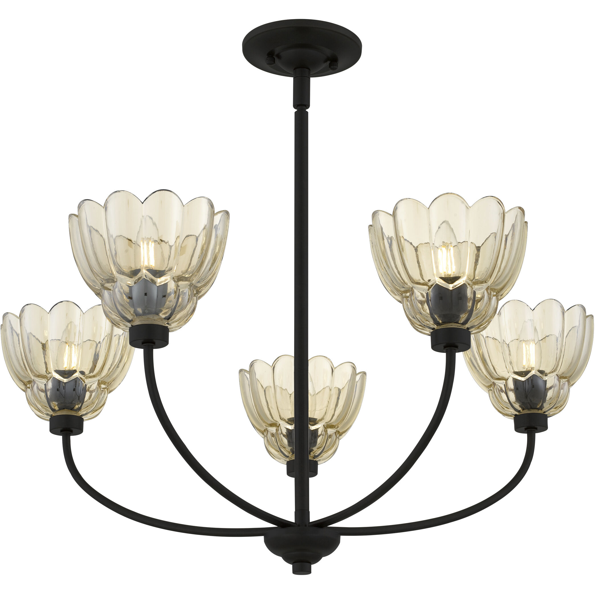 Whitecap 5 Light 28 inch Mottled Cocoa Chandelier Ceiling Light