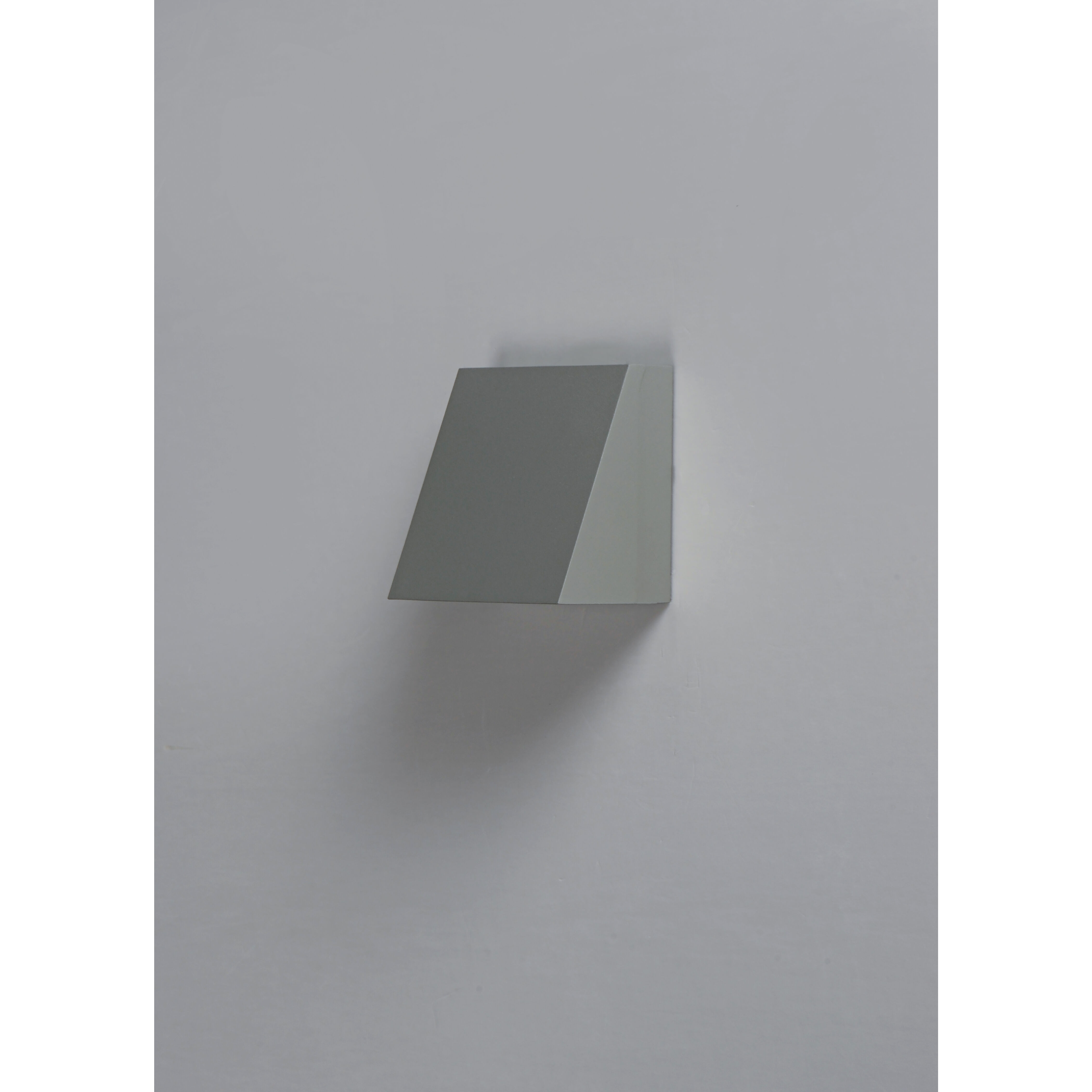 Pathfinder LED 6 inch Silver Outdoor Wall Mount