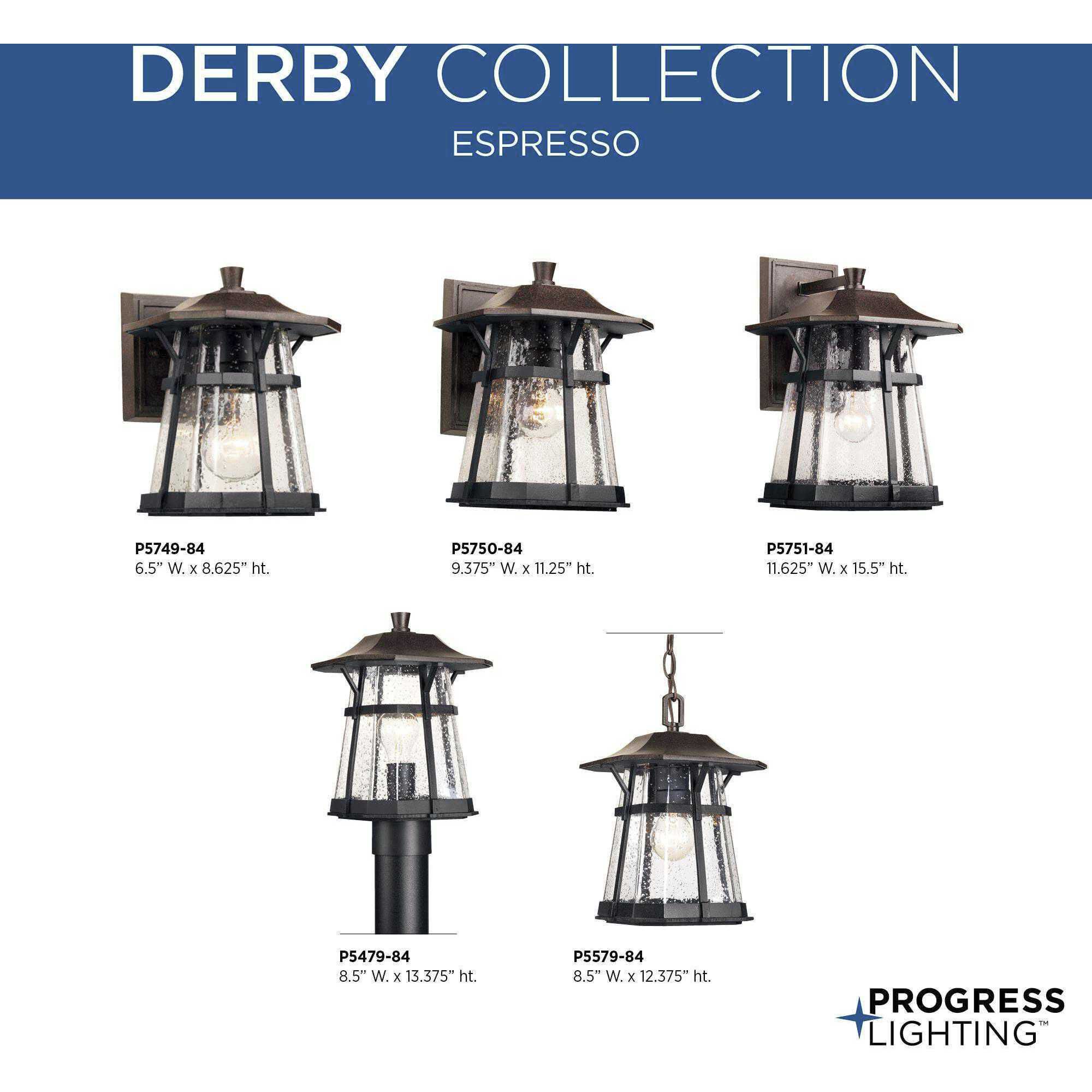 Derby 1 Light 9 inch Espresso Outdoor Hanging Lantern