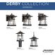 Derby 1 Light 9 inch Espresso Outdoor Wall Lantern in Clear Seeded, Small