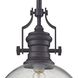 Chadwick 1 Light 13 inch Oil Rubbed Bronze Pendant Ceiling Light in Clear Seeded Glass