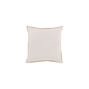 Orianna 22 X 22 inch Ivory Throw Pillow