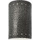 Ambiance Cylinder LED 9.5 inch Hammered Pewter Outdoor Wall Sconce, Small