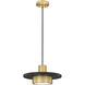 Ludo LED 12 inch Matte Black and Modern Gold Pendant Ceiling Light