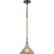 Hand Formed Glass 1 Light 10 inch Oil Rubbed Bronze Mini Pendant Ceiling Light
