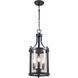 Niagara 3 Light 10.25 inch Hammered Black Outdoor Pendant