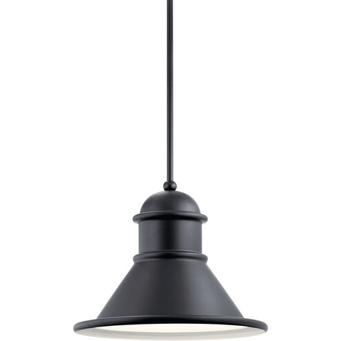 Northland 1 Light 18 inch Black Outdoor Hanging Pendant