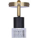 Elsee 4 Light Black/Gold Track Lighting Ceiling Light