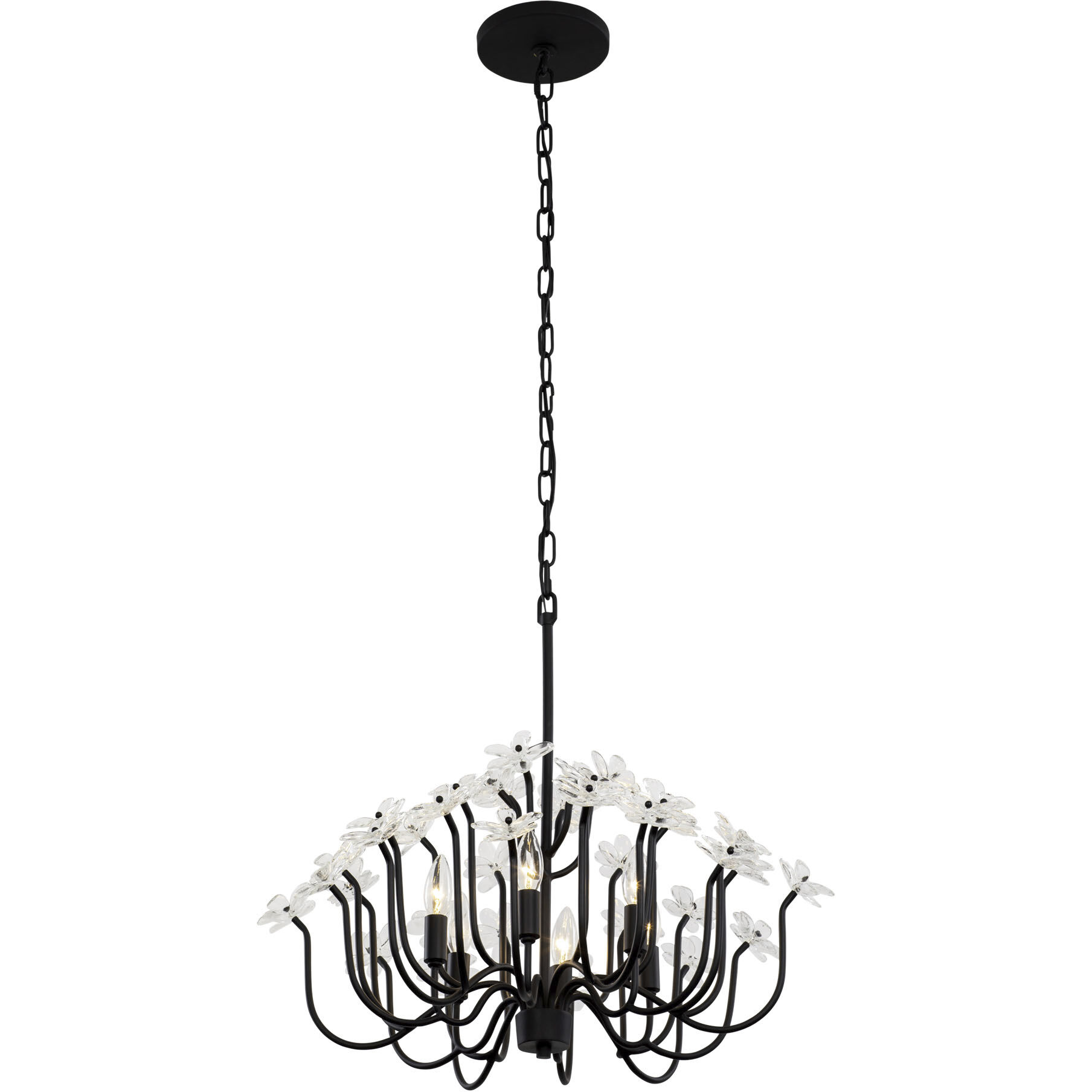 Wildflower 6 Light 26 inch Matte Black Chandelier Ceiling Light, Smithsonian Collaboration